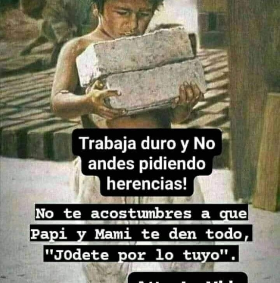 elferzuniga1